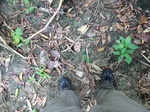 46099CIMG0388.JPG