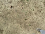19257P1010103.JPG