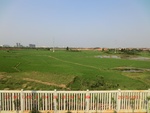 38872CIMG4282.gps.jpg