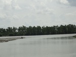 26052DSC00473.JPG