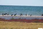 26824IMG_3234.JPG