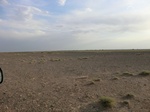 36674CIMG0443.JPG
