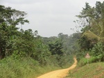48886CIMG5223.JPG