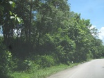33499IMG_5742.JPG
