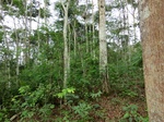 46053CIMG0342.JPG