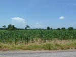 19580P1010427.JPG