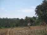 15265IMG_4087.JPG