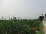 33104CIMG2339.JPG