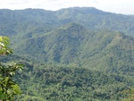 21678DSC00018.JPG