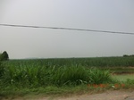 32945CIMG2091.JPG