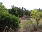 51925Tank ID 1800066 Thayagondanahalli 2.JPG