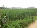 32614CIMG1733.JPG