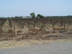508722042008(2).JPG