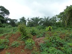 20201P1020055.JPG