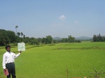 9252gt015b-cropland-irrigated-rice-tunga.gif