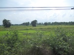 34388IMG_5302.JPG