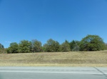 35515DSC03031.JPG
