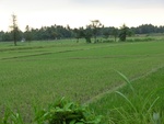 31768CIMG1636.JPG