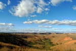 28512P1010524-1.JPG