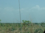 51522P1000684.JPG