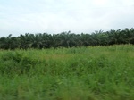 25822P1020241.JPG