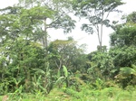 49325CIMG5662.JPG