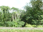 25160P1010999.JPG