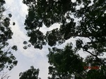 53653CIMG7027.JPG