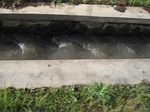 13926IMG_4214.JPG