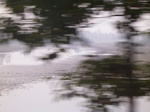 3095 028.jpg