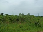 18601P1000438.JPG