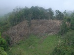 43399R0012346.JPG
