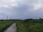 24856DSC01034.JPG