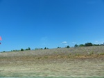 35503DSC03019.JPG