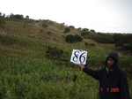 10664gt-086-wetland-valley-bottom-seasonal-01.jpg