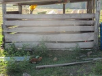 32053IMG_5684.JPG