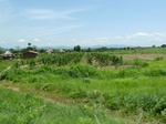 19583P1010430.JPG