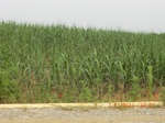 32906CIMG2045.JPG