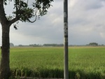 31304CIMG1166.JPG