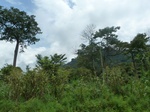 20573P1020430.JPG