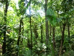 31499CIMG1365.JPG
