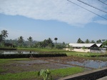 13931IMG_4220.JPG