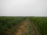 54454DSCN1735.JPG