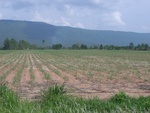 34545RIMG0010.JPG