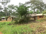 48109CIMG4446.JPG
