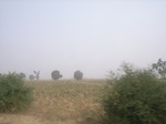 9154RIMG0235.JPG