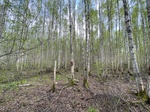 2025-05-21_10-09-16_IMG_7885.jpeg