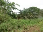 48136CIMG4473.JPG