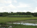22152DSC00396.JPG