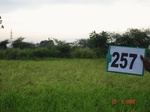 72460257a-irrigated-rainfed-(supplemental)-agriculture-rice-dominant-millet.jpg